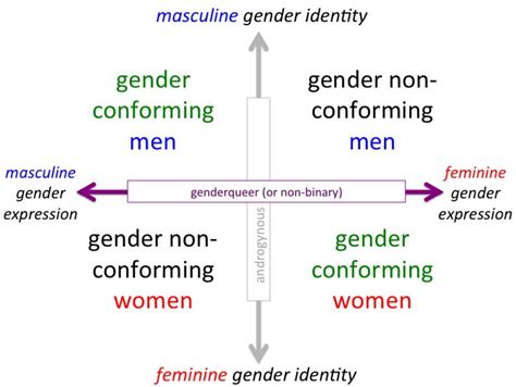 54 best visualizing gender identity binaries spectrums