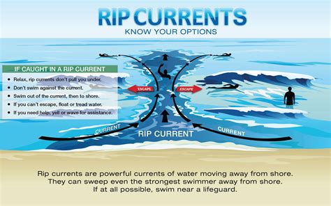 survive  potentially deadly riptide  wall st