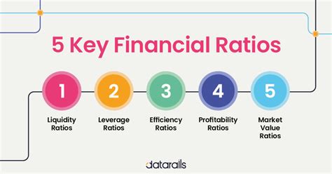 key financial ratios      datarails