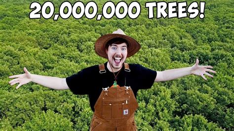 planting  trees  biggest project   youtube