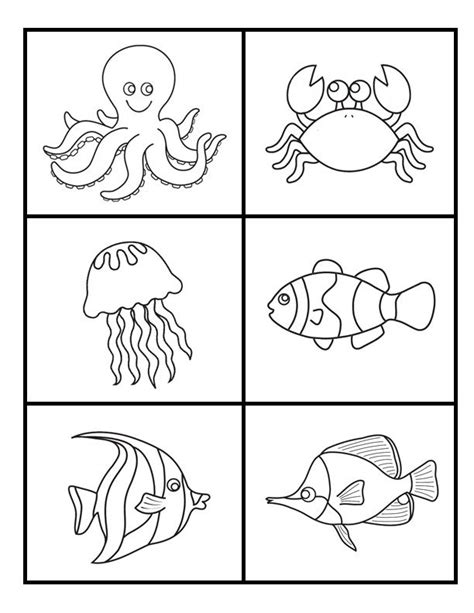 sea images  pinterest animal coloring pages