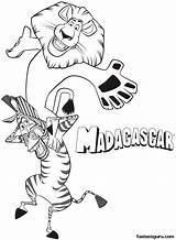 Alex Marty Madagascar Coloring Pages Printable Zebra Colouring Lion Fun Having Kids Cartoon Coloriage Print Animals Characters Shoulders Color Related sketch template