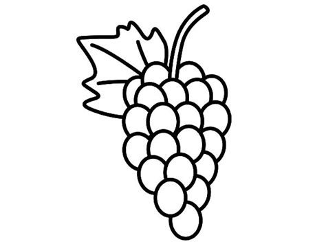 pin  grapes coloring pages