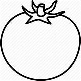 Tomato Drawing Line Outline Tomatoes Clipart Drawings Paintingvalley Transparent sketch template