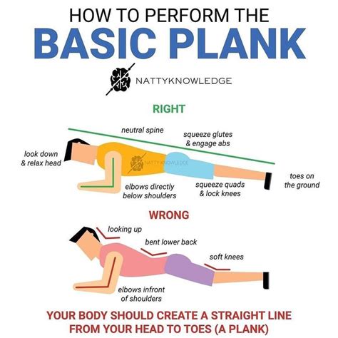 grant girsky ms cpt on instagram “how to plank ⠀ the plank is one