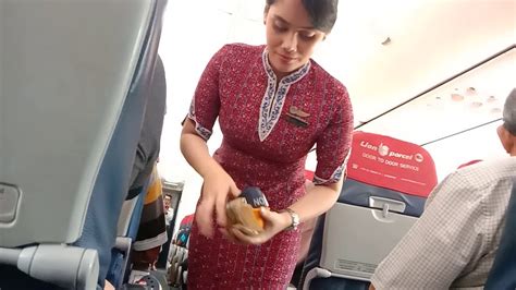 pramugari cantik lion air youtube