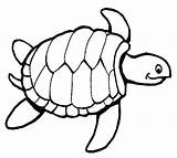 Coloring Turtle Sea Pages Print Kids Color Cartoon Printable Leatherback Sheets Yertle Knitting Ninja Simple Outline Turtles Easy Drawing Adults sketch template