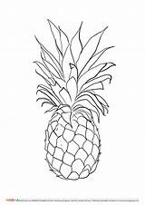 Pineapple Coloring Drawing Pages Printable Pineapples Fruits Fruit Sketch Colouring Book Pine Apple Drawings Template Pinapple Small Tattoo Sheets Tattoos sketch template