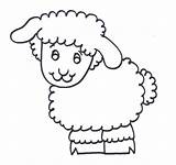 Cordero Schaap Pintar Corderos Lamb Esos Elige Delicados Pintarcolorear sketch template