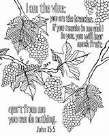 Vine Coloring Branches Am Canvas Jesus Demand sketch template