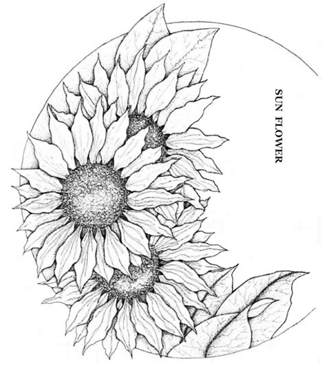 printable sunflower tooling pattern