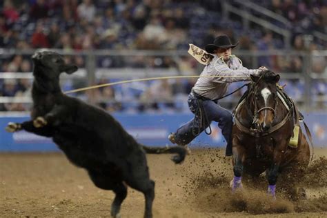 westerner protests  calf roping ignore  roots  ranching veteran contestant
