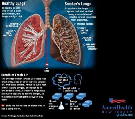 Lungs Of A Smoker Vs Non Smoker Infographics