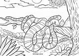 Schlange Malvorlage Kolorowanki Wąż Malvorlagen Baum Snake Kinderbilder Kinderecke Afryka Gałęzi Kostenlose sketch template