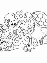 Shells sketch template