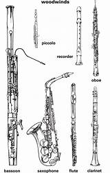 Woodwind Section Clarinet Saxophone Wind Woodwinds Oboe Webster Merriam Musicale Flute Bassoon Reed Elementary Handout Strumenti Educazione Basson Musicali Learner sketch template