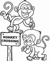 Monkeys Mammals sketch template