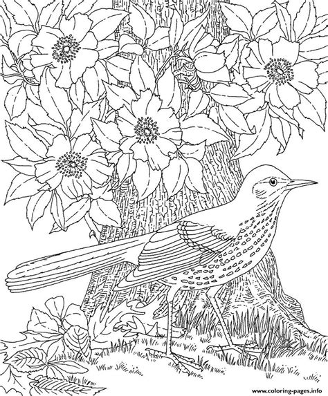 cool colouring  adult  coloring pages printable