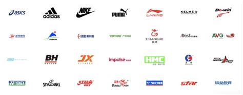 sports equipment distribution  china daxue consulting