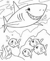 Shark Coloring Pages Fish sketch template
