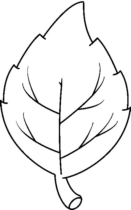 coloring pages  printable leaf coloring pages  kids