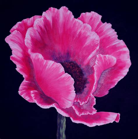 Pink Poppy Painting By Sueellen Cowan
