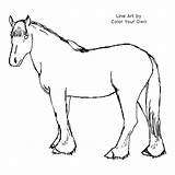Horse Coloring Draft Clydesdale Pages Color Clipart Drawing Printable Own Template Print Designlooter Col Drawings Getcolorings Index Clipartmag 500px 24kb sketch template