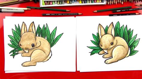 draw  realistic bunny art  kids hub