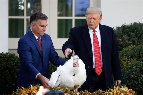 turkey pardon 2019 trump spares two turkeys makes impeachment jokes