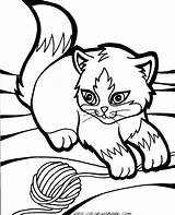 Cat Coloring Pages Fluffy Printable Getcolorings Color Print Adults sketch template