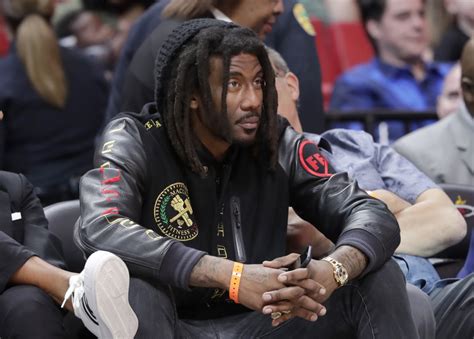 amare stoudemire charged  punching  daughter  miami home