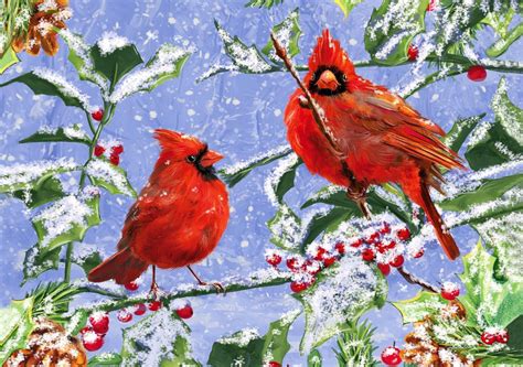 cardinal birds  snow wallpaper  images