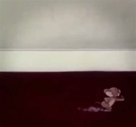 historic vids on twitter progression of tom n jerry from 1940 2023