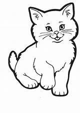 Colour Cats Cat Drawing Coloring Colouring Animals Kids Pages Simple Pilih Papan Kid Animal sketch template