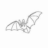 Bat1 Eared Bats Print1 sketch template