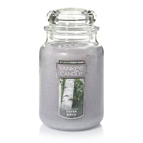 yankee candle silver birch original large jar scented candle walmartcom walmartcom