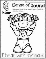 Senses Preschool Sentidos Preescolar Ingles Playtime Niños Lessons Planningplaytime Cinco sketch template