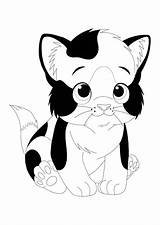 Calico Coloring1 sketch template