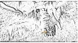 Stalactite Drawing Draw Cavern Stalactites Carlsbad Caverns Paintingvalley Auto sketch template