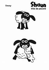 Sheep Shaun Coloring Baby Timmy Pages Printable Cartoon Colouring Colorluna Print sketch template