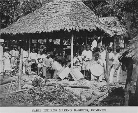 kalinago carib indians making baskets dominica 1492 1833 and