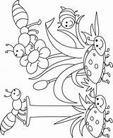Coloring Pages Insect Bug Kids Preschool Cute Printable Bugs Insects Letter Bestcoloringpages Color Garden Drawing Getdrawings Thematic Each Parts Body sketch template