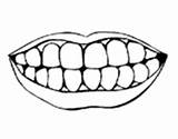Teeth Coloring Mouth Body Pages Human Coloringcrew sketch template