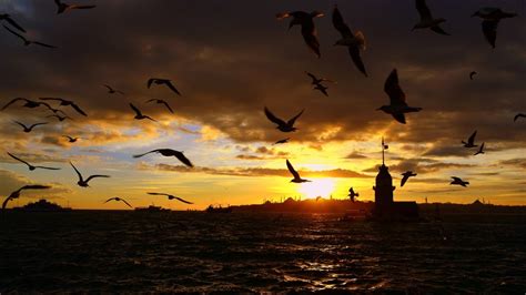 sunset picture wallpaper high definition high quality widescreen