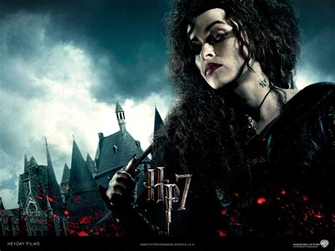 French Dh Wallpaper Harry Potter Photo 16727372 Fanpop