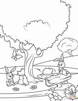Forest Coloring Pages Spring Rabbits Printable Animal Color Drawing sketch template