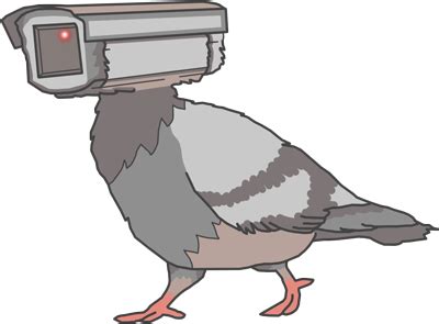 pigeons arent real  truth  government surveillance drones
