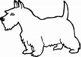 Dog Scottie Colouring Template Clipart Drawing Cliparts Pages Clip Coloring Getdrawings Library sketch template