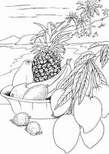 Fruit Seashore Dover Mandala Doverpublications sketch template