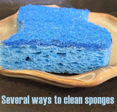 clean sponges daily deep cleaning cleaning cleaning hacks diy
